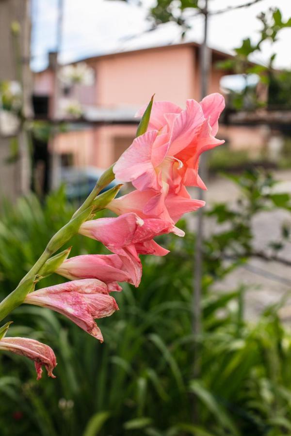 Hotel Pousada Casa Tasca Bento Gonçalves エクステリア 写真